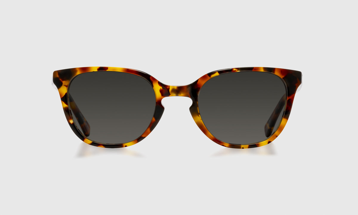 Decent Proposal - Front - Polarized Grey