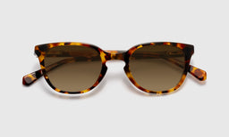 Decent Proposal - Laydown - Polarized Brown
