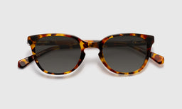 Decent Proposal - Laydown - Polarized Grey