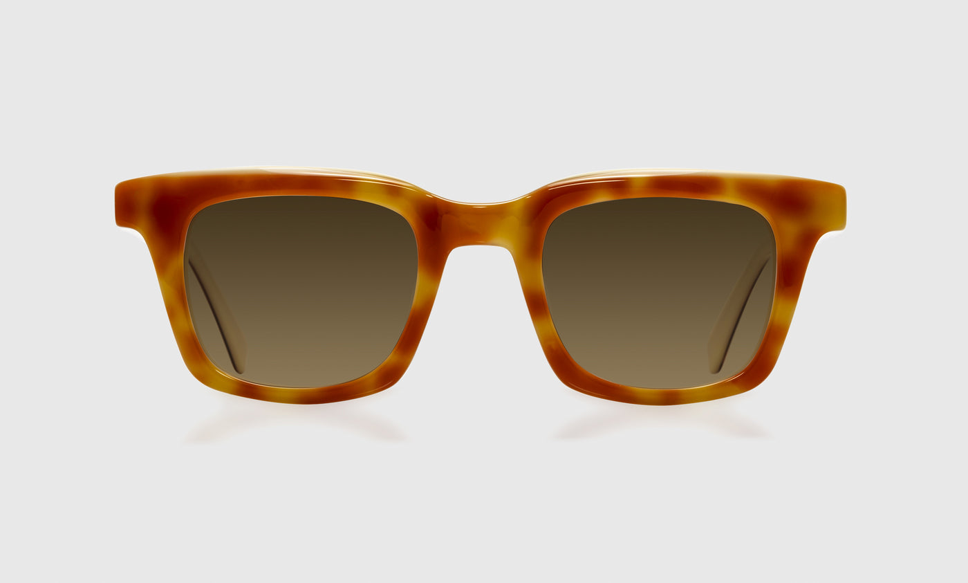 Wide Awake - Front - Polarized Brown