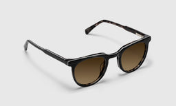 Roundabout - Angle - Polarized Brown