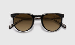 Roundabout - Laydown - Polarized Brown