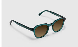Polite Society - Angle - Polarized Brown