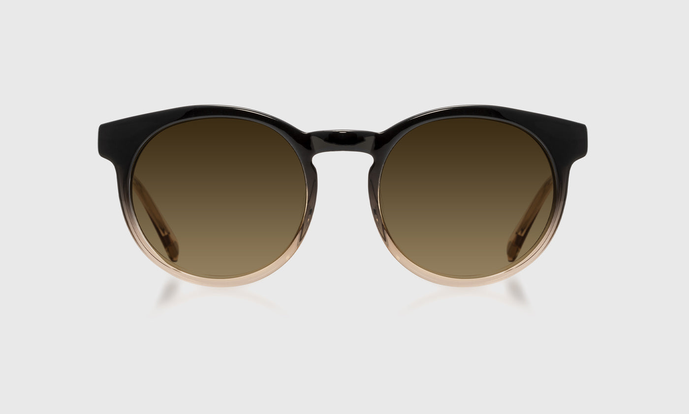 Big Reveal - Front - Polarized Brown