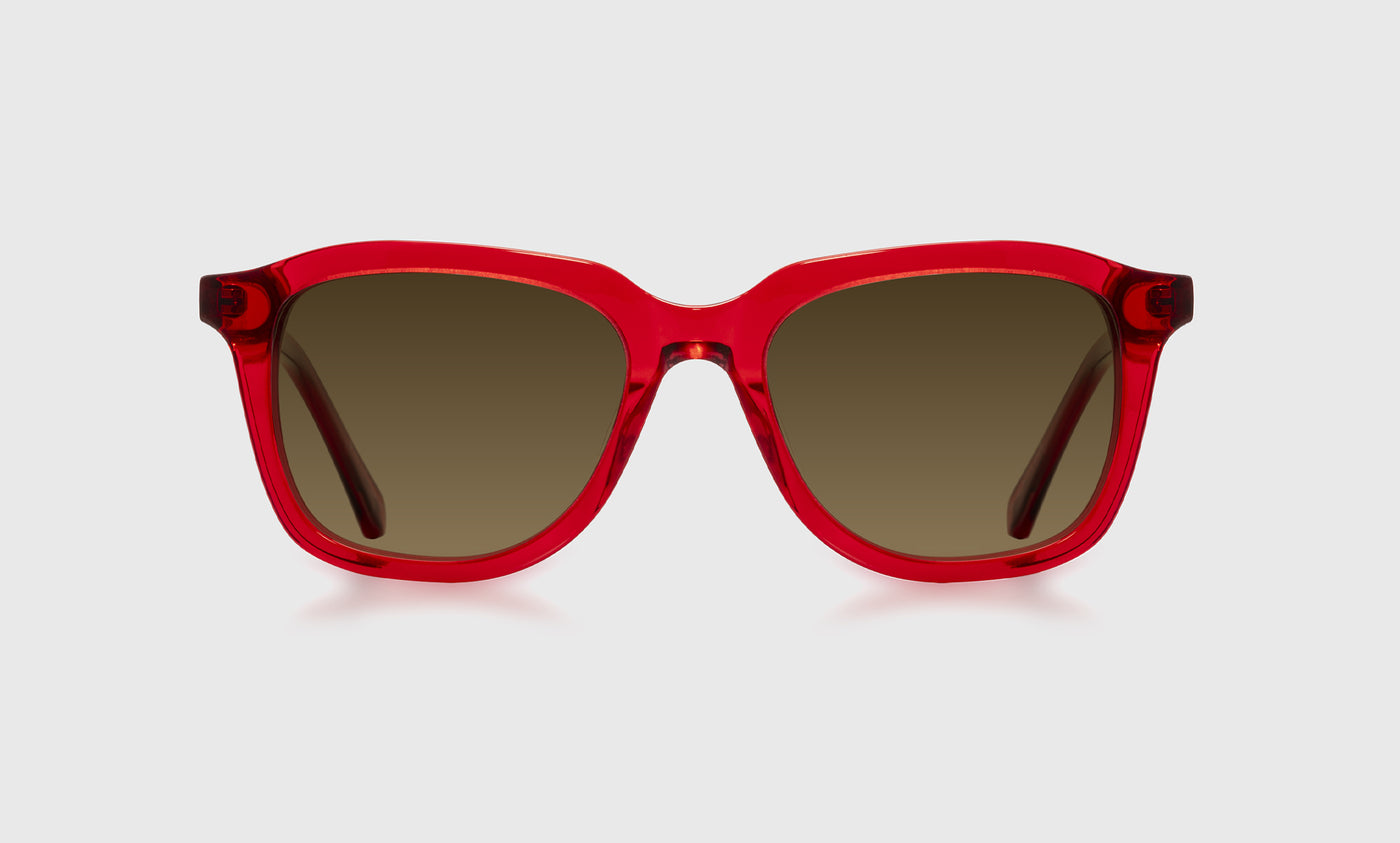 Bold Move - Front - Polarized Brown