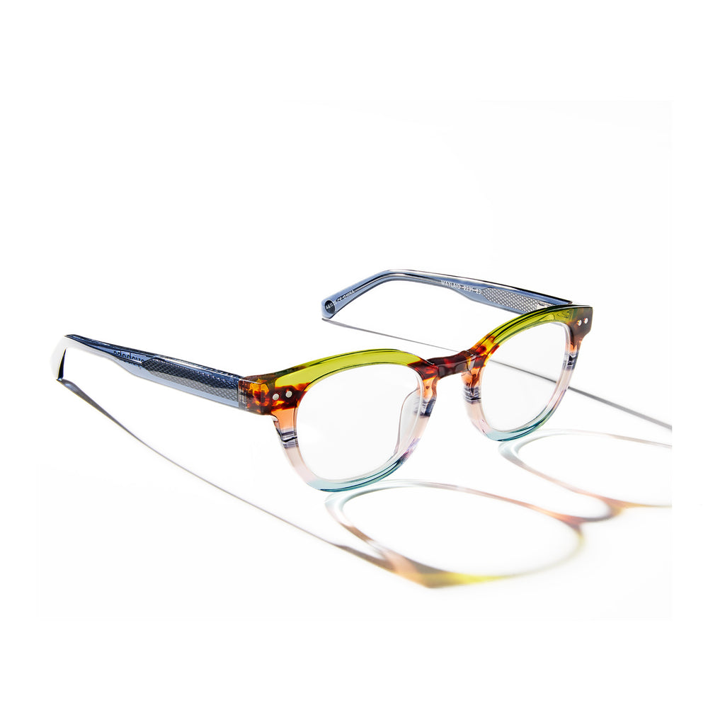 Waylaid Frame in Earth Tone Tortoise Stripe