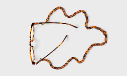 Brown Tortoise