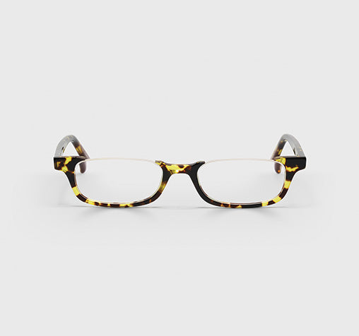 What Inheritance? in Demi Tortoise