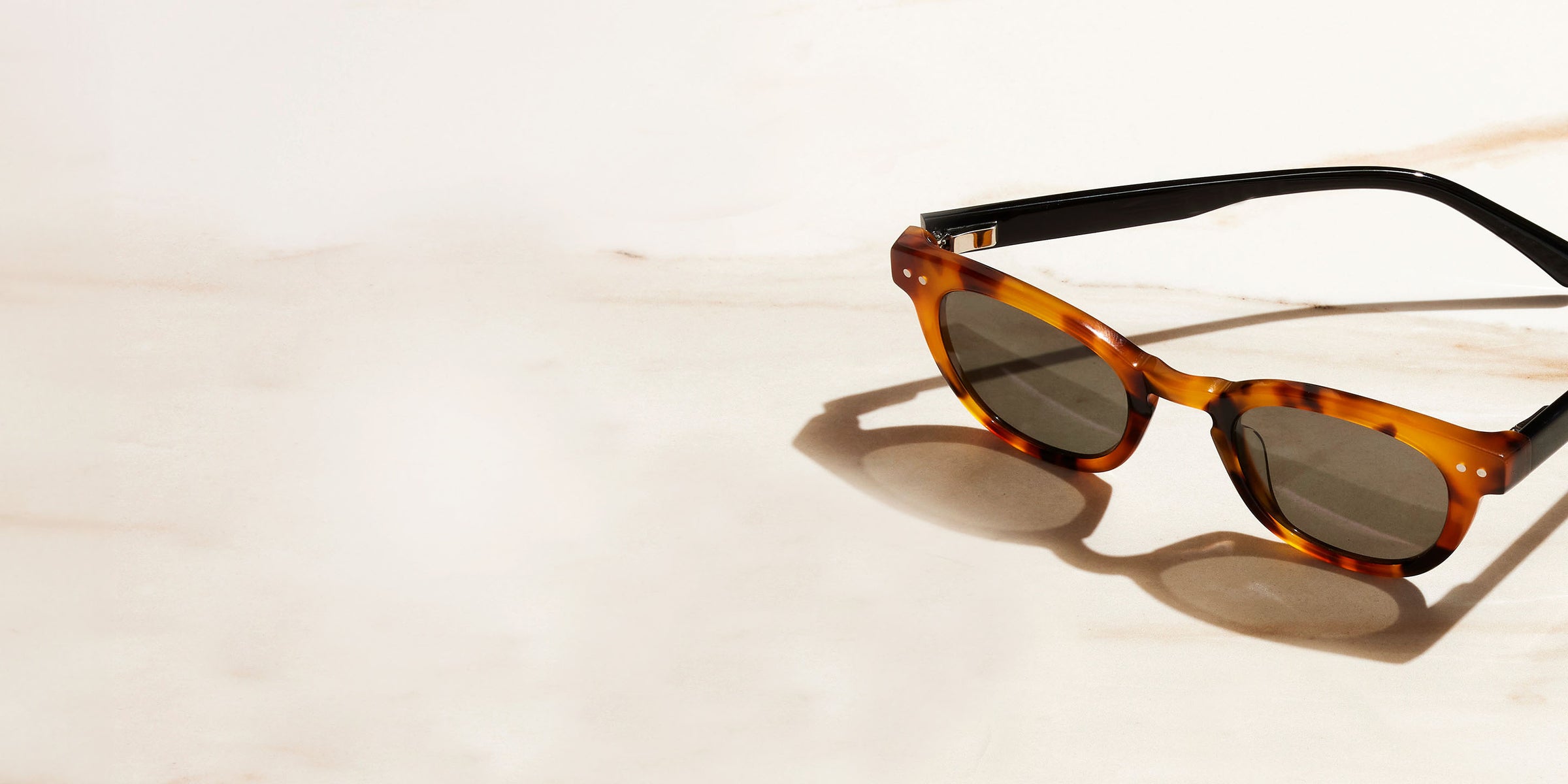Waylaid Frame in Tortoise