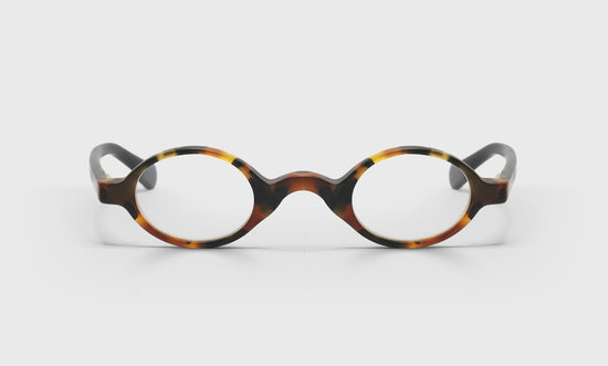 19 -  Matte Tortoise Front with Black Temples