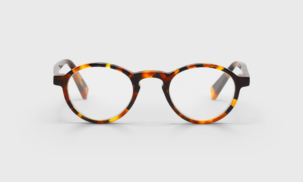 Round tortoise 2024 sunglasses
