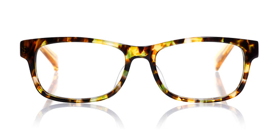 11 - Spotty Green Tortoise Front with Orange Crystal Temples