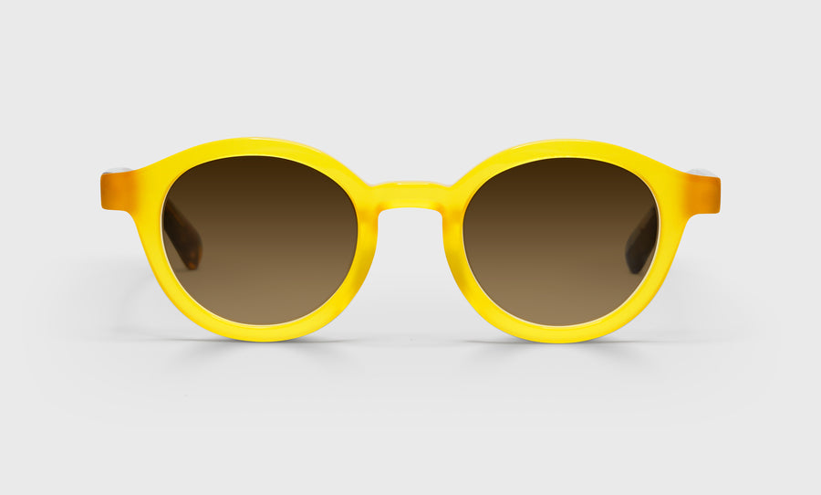 TV Party Average Color 77 - Yellow Front with Blue and Brown Chop Temples
