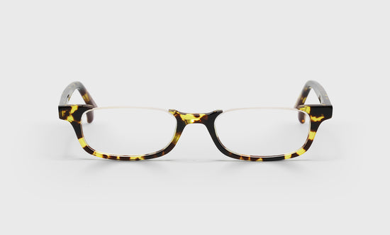 20 - Demi Tortoise Front and Temples