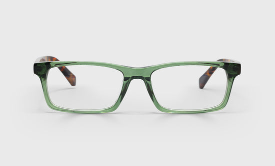 17 - Green Crystal Front with Tortoise Temples