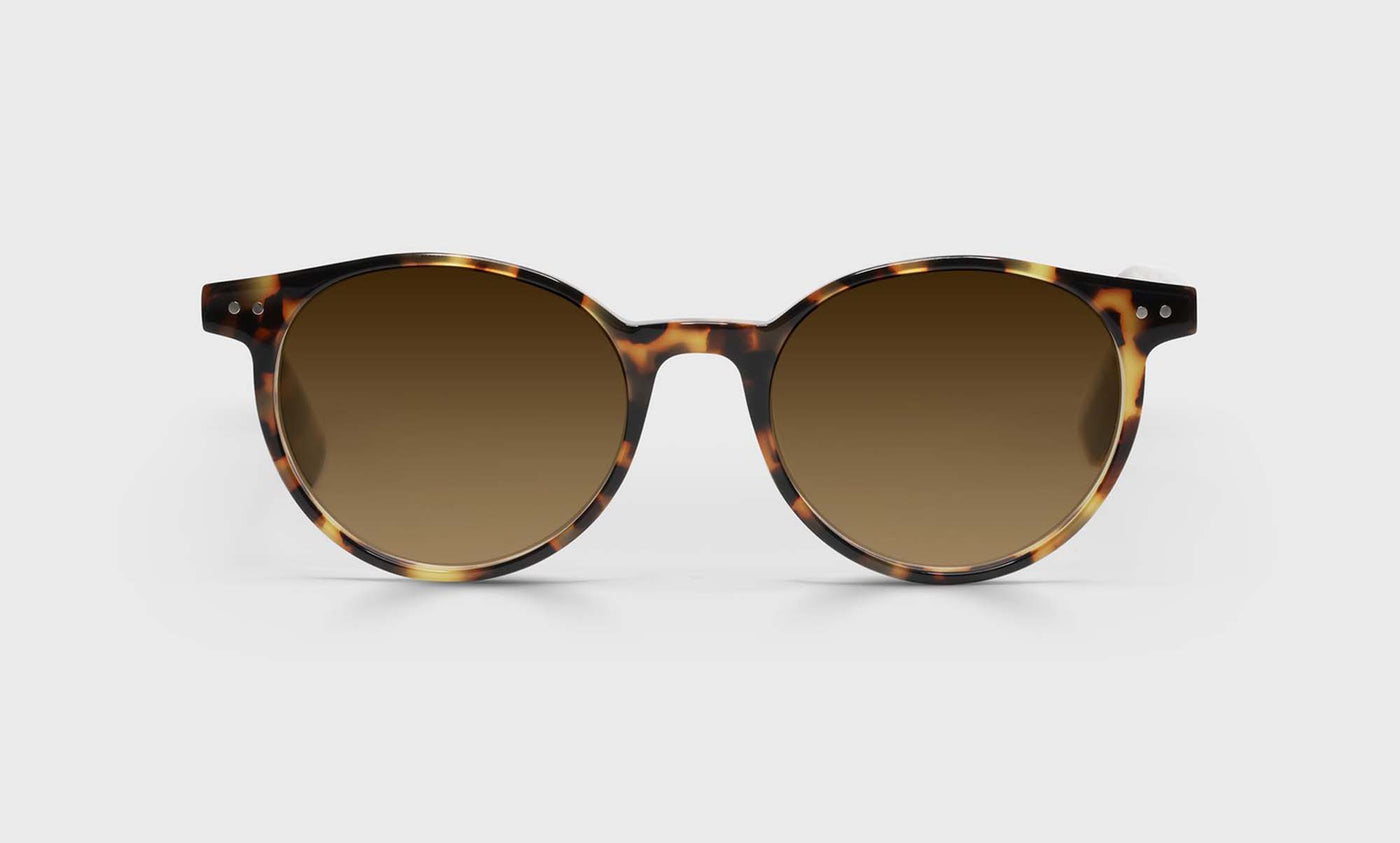19-pb | Eyebobs Case Closed Average, Round, Reader Sunglasses, Polarized Brown Sunglasses