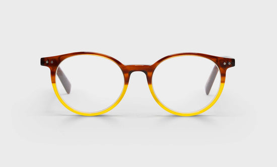 88 - Brown & Blonde Front with Brown Temples