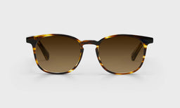 86-pb | eyebobs premium designer board room readers, blue light and prescription glasses in brown demi stripe, polarized brown