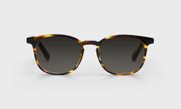 86-pg | eyebobs premium designer board room readers, blue light and prescription glasses in brown demi stripe, polarized grey