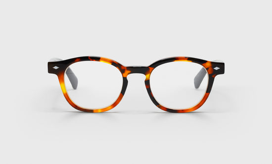 19 - Tortoise front with black temples