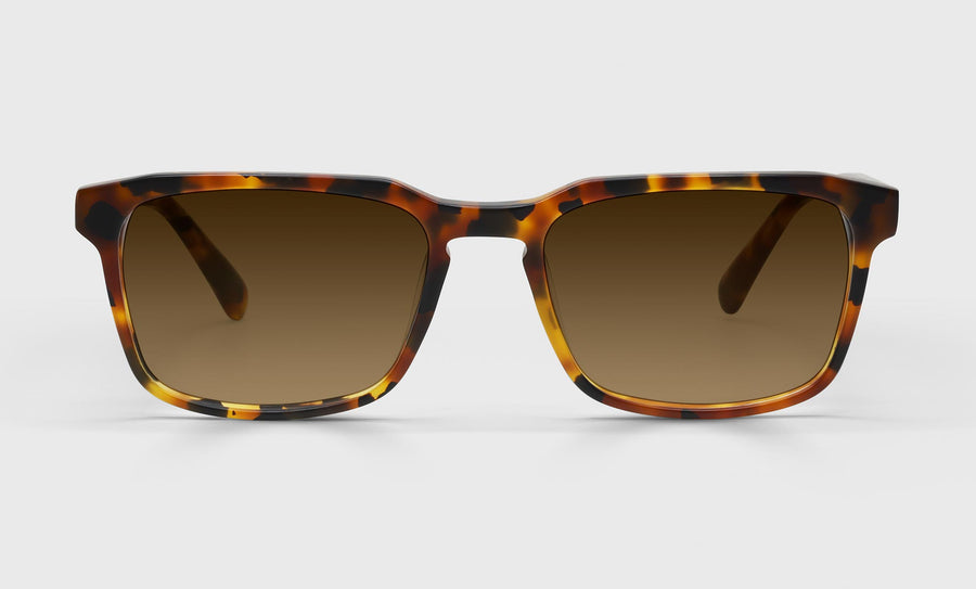 Seymour Glass Color 19 - Tortoise Front and Temples