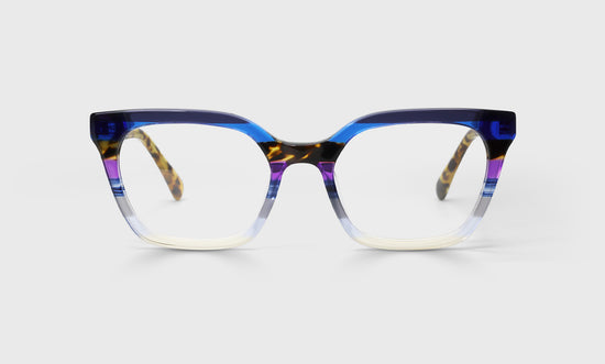 15 - Purple Stripe Front with Tortoise Temples