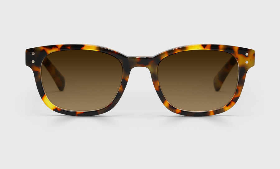 Biff Wide Color 19 - Tortoise Front and Temples