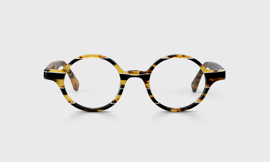 19 - Tortoise Stripe Front with Tortoise Temples