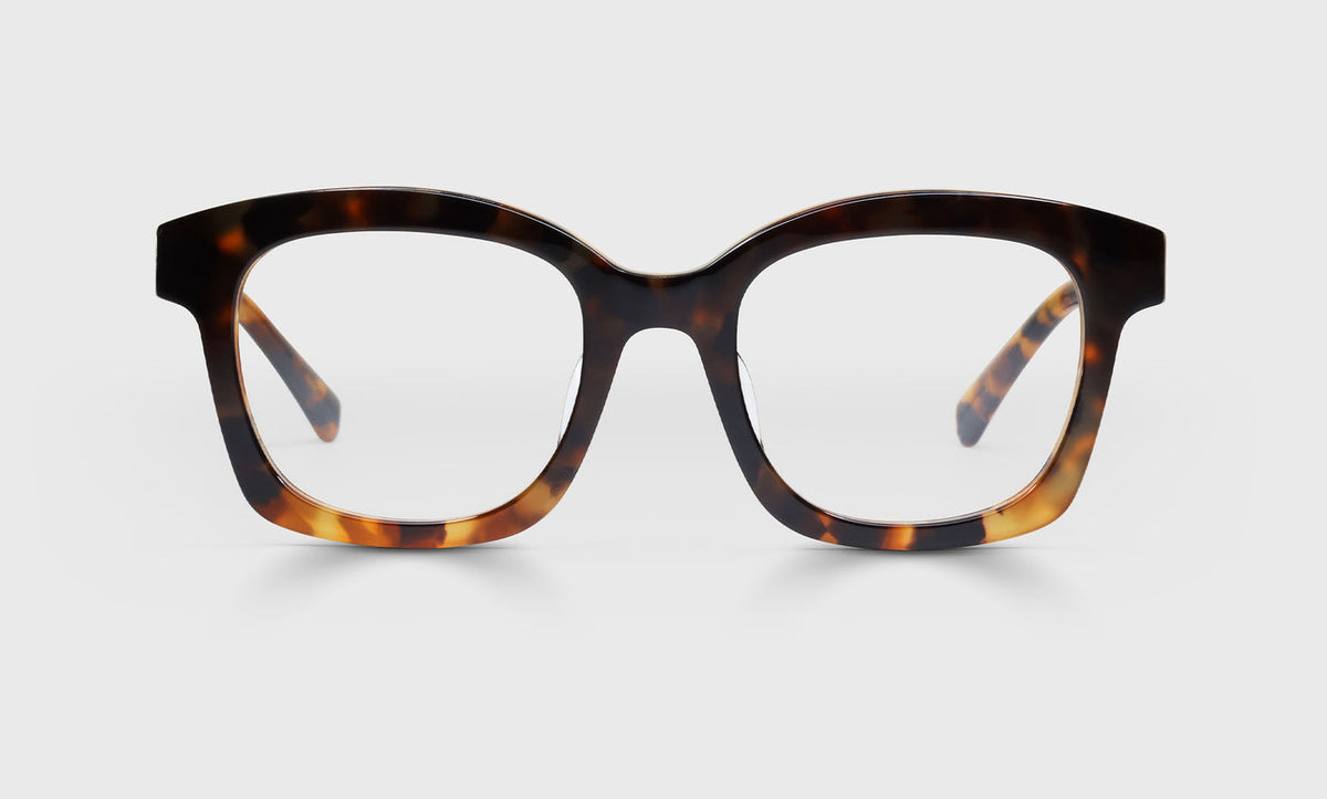 Unisex square eyeglasses with shiny tortoise fade acetate frame and wide temples on light gray background
