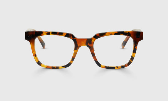 19 - Amber Tortoise Front and Temples