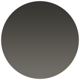 Circular grey polarized lens with smooth gradient tint shown against a crisp white background