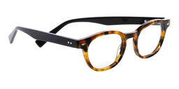 Bitty Witty Color 19 - Tortoise front with black temples