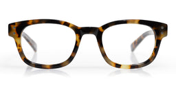 Biff Narrow Color 19 - Tortoise Front and Temples