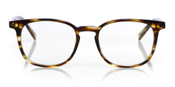 Boardroom Color 86 - Brown Demi Stripe Front and Temples