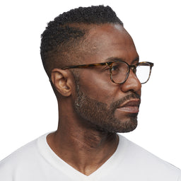 Boardroom Color 86 - Brown Demi Stripe Front and Temples